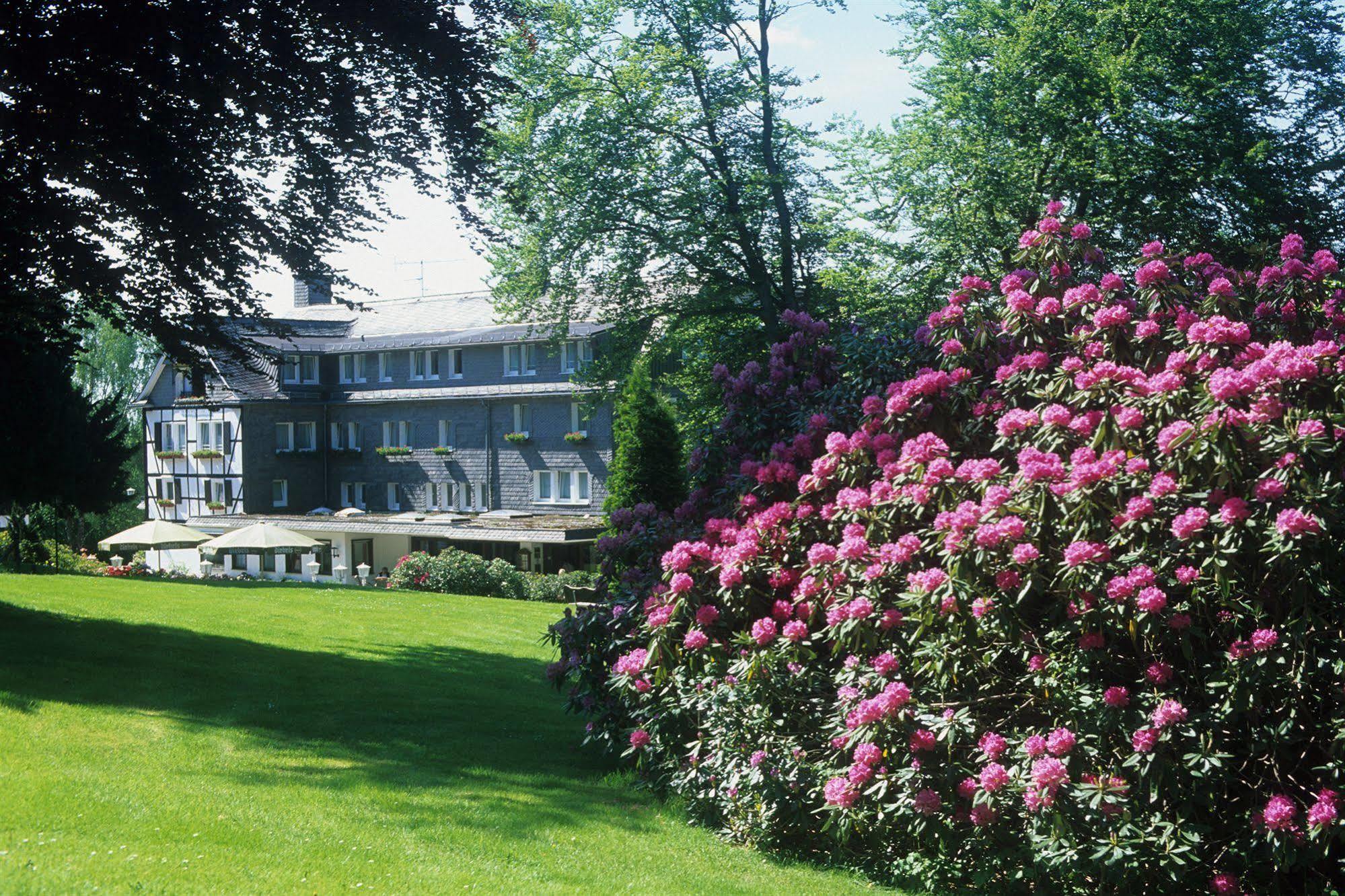 Hotel Jagdhaus Wiese Schmallenberg Eksteriør bilde